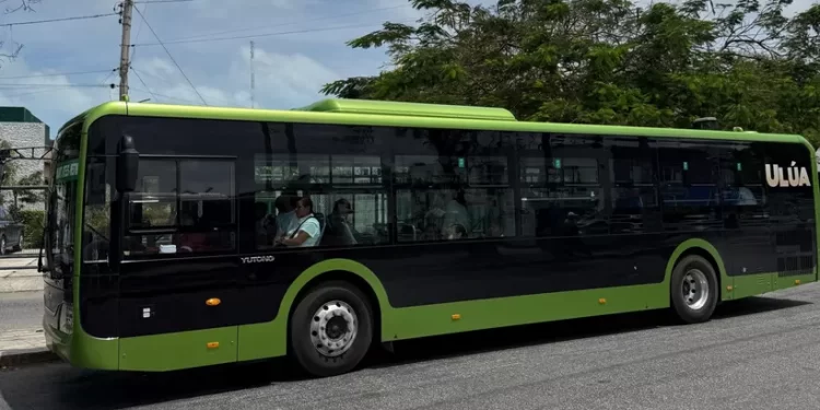 ¡Adiós a las combis! Transforman el transporte público en Cancún, Playa, Chetumal e Isla Mujeres