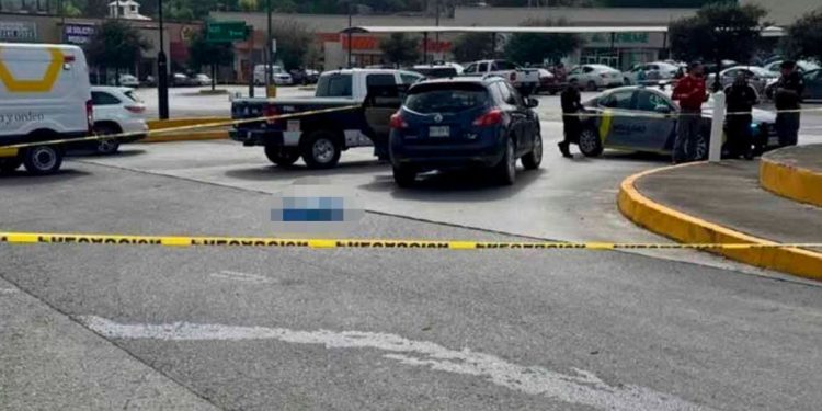Bebé pierde la vida al caer de camioneta y ser atropellado por su madre en Nuevo León