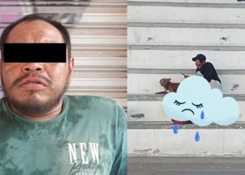Detienen a presunto agresor sexual de una perrita en la SM 237 en Cancún