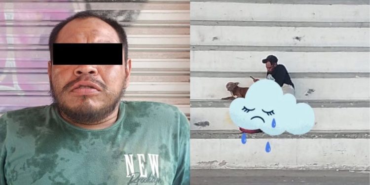 Detienen a presunto agresor sexual de una perrita en la SM 237 en Cancún