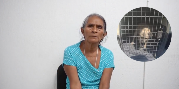 "No estaba en mis cabales, se me pasó", abuelita que arrojó al bug RAMBO se disculpa