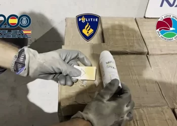 Operativo en España termina con 20 detenidos del CJNG
