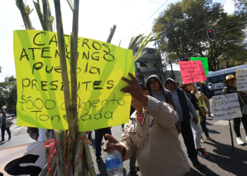 Nuevo arancel al azúcar importada: impacto real en productores cañeros e industria azucarera mexicana