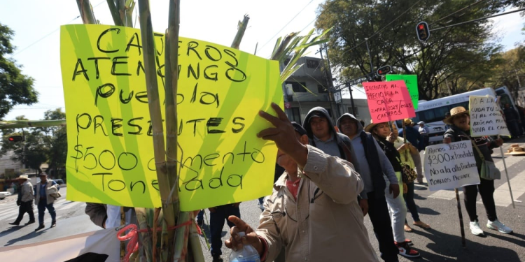 Nuevo arancel al azúcar importada: impacto real en productores cañeros e industria azucarera mexicana