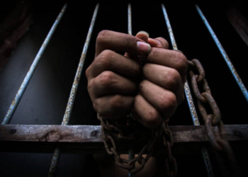 Sentencia La Barredora Puebla: Prisión para Integrantes de La Barredora y Detenidos en Puebla 2024, Impacto y Repercusiones