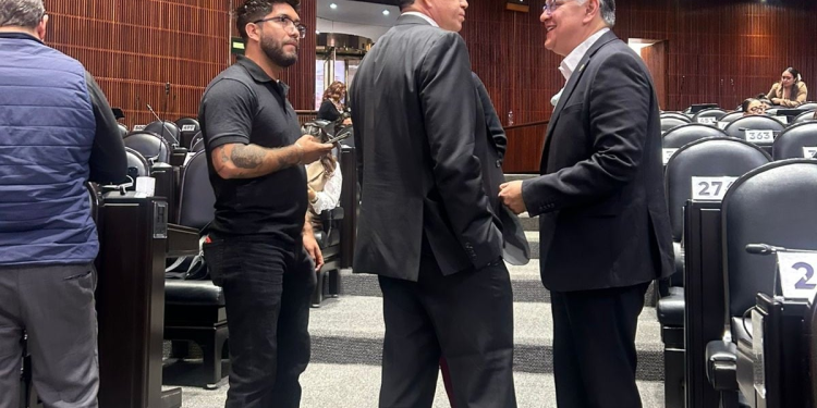 Confirmación de enfoque y siguientes pasos