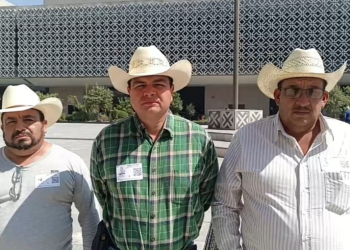 Productores de maíz bloquean carreteras: protesta por precio del maíz sacude Guanajuato y San Lázaro