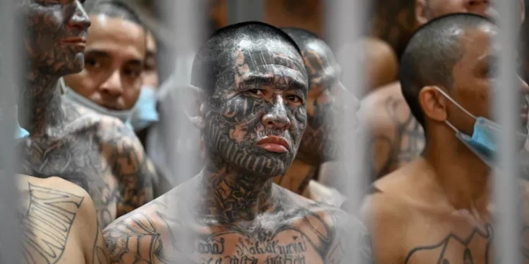 El Salvador impone condenas de hasta mil años a integrantes del MS-13