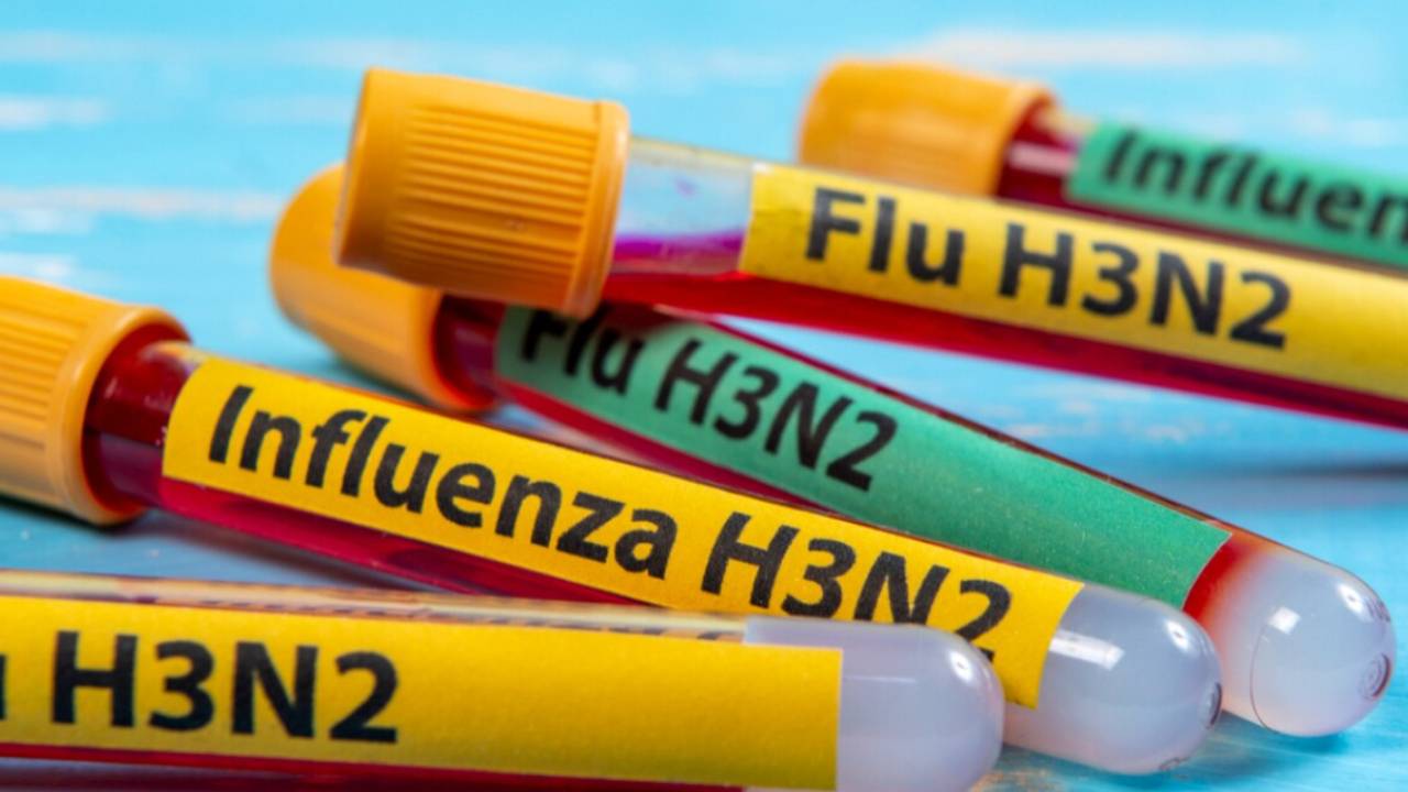Acciones del Gobierno de Mexico ante Influenza A H3N2