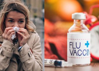 Influenza A H3N2 no ha llegado a Mexico Secretaria de Salud llama a vacunarse
