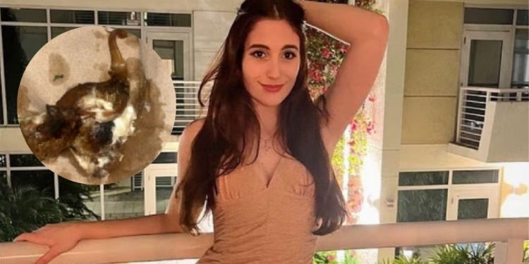 Mujer encuentra ratón en burrito y demanda a restaurante en Nueva York