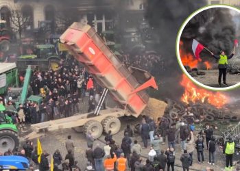 Protestas de agricultores en Bruselas contra acuerdo UE Mercosur
