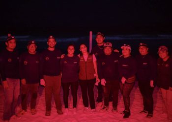 Ana Paty Peralta, destacó una gran temporada de vigilancia y conservación de la tortuga marina este 2025
