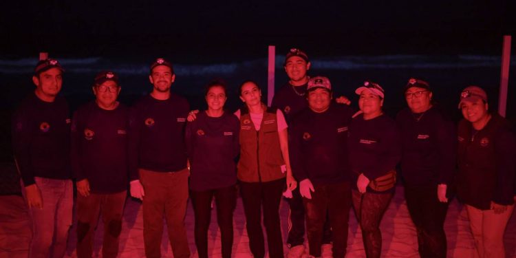 Ana Paty Peralta, destacó una gran temporada de vigilancia y conservación de la tortuga marina este 2025