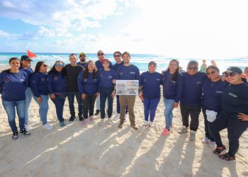 Cancún liberó más de un millón 138 mil crías de tortuga marina