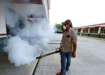 Quintana Roo logra histórica baja en casos de dengue