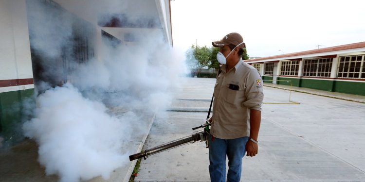 Quintana Roo logra histórica baja en casos de dengue
