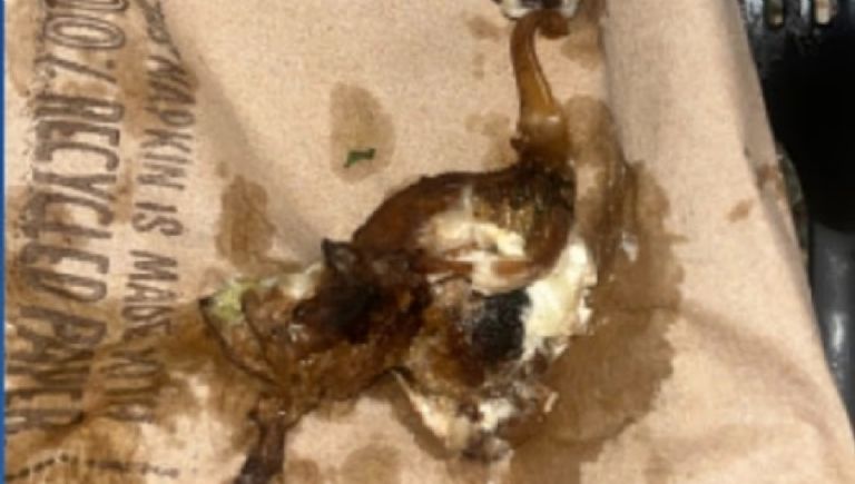 Mujer encuentra ratón en burrito y demanda a restaurante en Nueva York