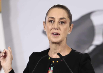 Ley de Cuidado Animal: Sheinbaum abre debate nacional