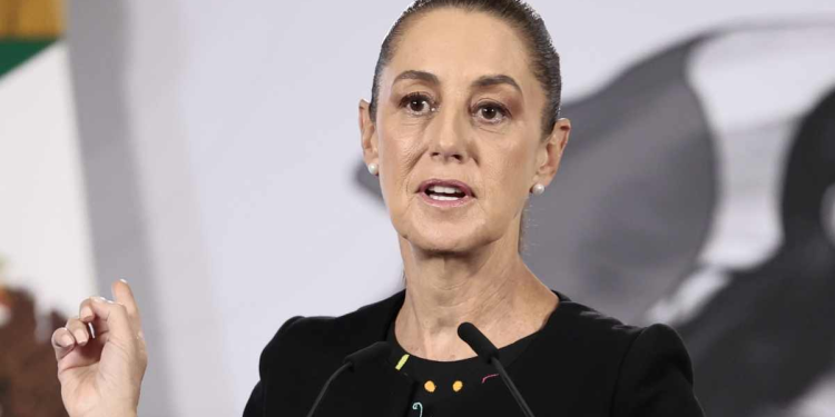 Ley de Cuidado Animal: Sheinbaum abre debate nacional