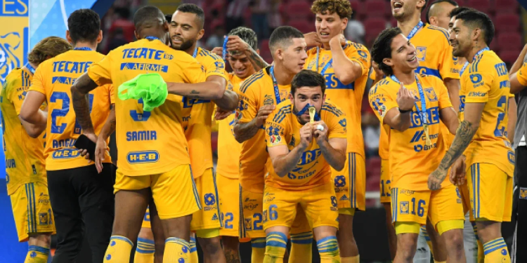 Tigres campeón estadio ajeno: Historia en Nemesio Diez