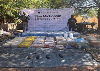 Plan Michoacán: 241 Detenidos en Operativos