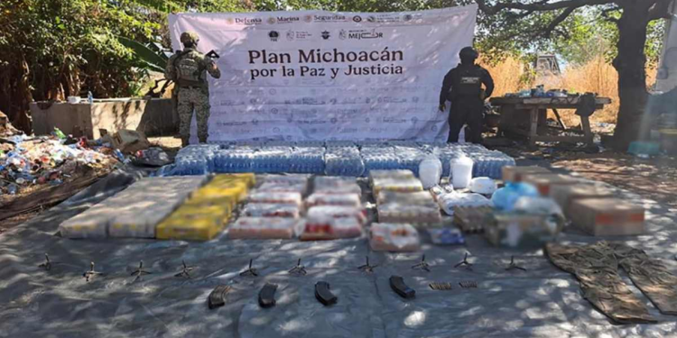 Plan Michoacán: 241 Detenidos en Operativos