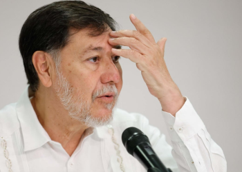 José Ramón López Beltrán: Noroña lo Defiende