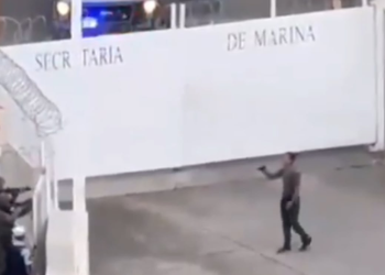 Marina somete a hombre en Puerto Vallarta: video