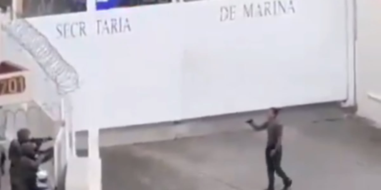 Marina somete a hombre en Puerto Vallarta: video