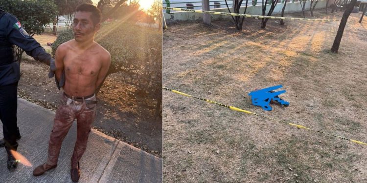 Detienen a hombre que degollaba perros en la Alcaldía Gustavo A. Madero
