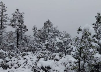 Chihuahua y Durango, bajo la nieve por la tercera tormenta invernal