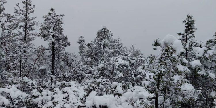 Chihuahua y Durango, bajo la nieve por la tercera tormenta invernal