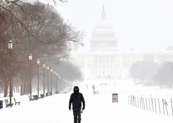 Tormenta invernal deja al menos 50 muertos por frío extremo en EU
