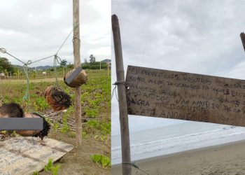 Hallan varias cabezas con “Mensaje” en una playa de Ecuador