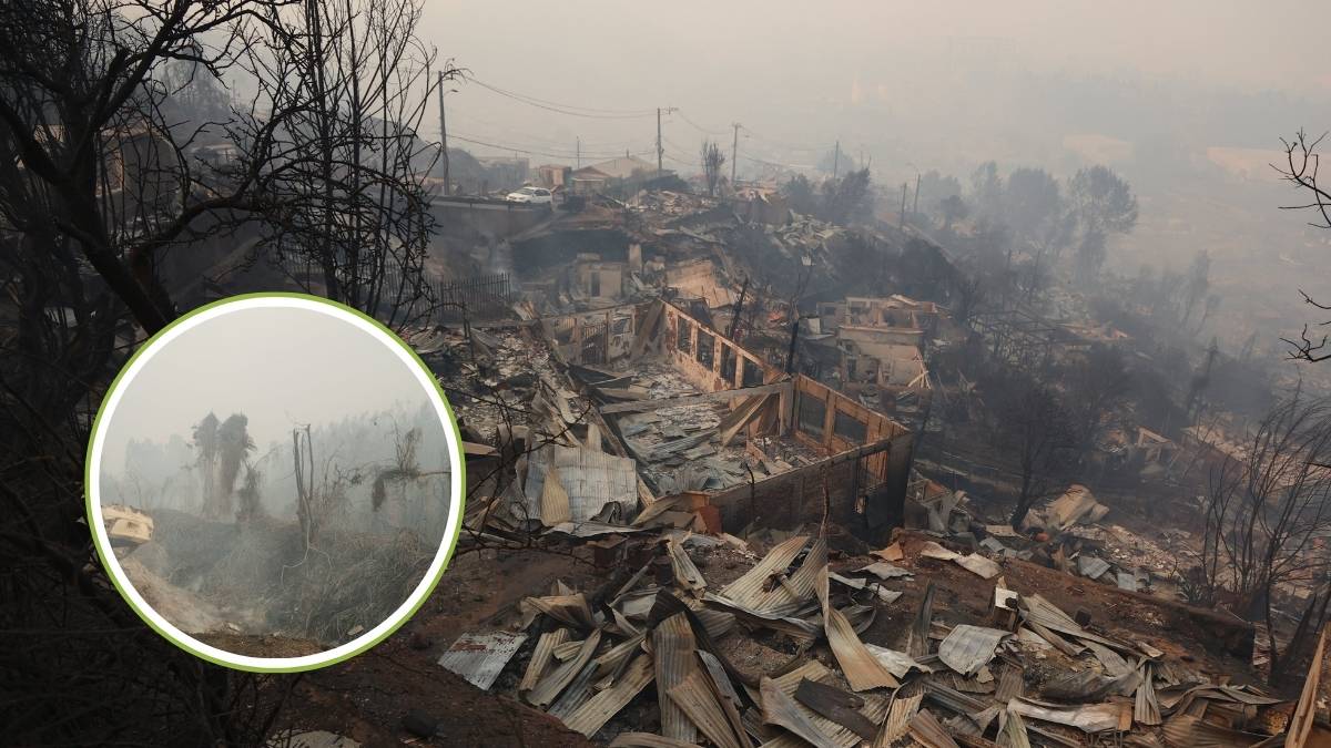 Incendios en Chile avanzan en zonas pobladas