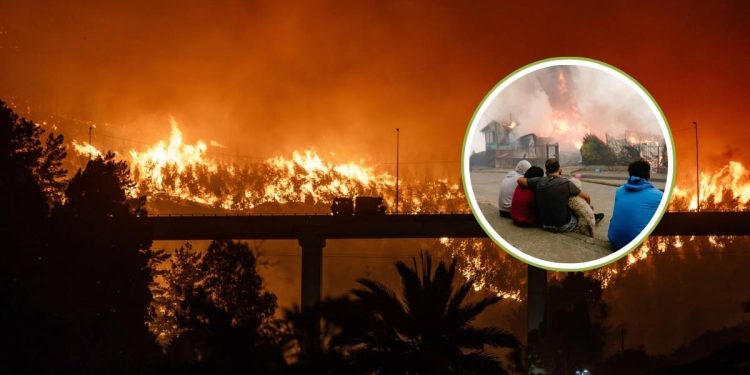 Incendios en Chile dejan al menos 15 muertos y mas de 50 mil evacuados