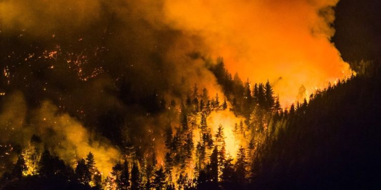 Incendios forestales arrasan más de 15 mil hectáreas en la Patagonia argentina