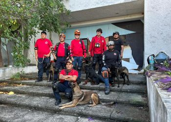 Bomberos de Cancún y Protección Civil realizan entrenamiento conjunto de búsqueda y rescate con unidades caninas