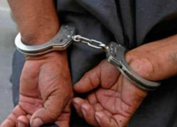 Detienen a dos personas en Tabasco por canibalismo; investigan a cinco más