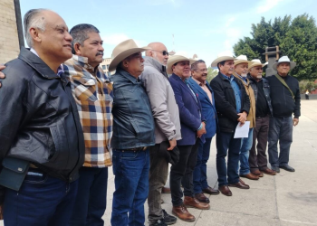 Reforma Electoral Mexicana: PVEM Marca Límites