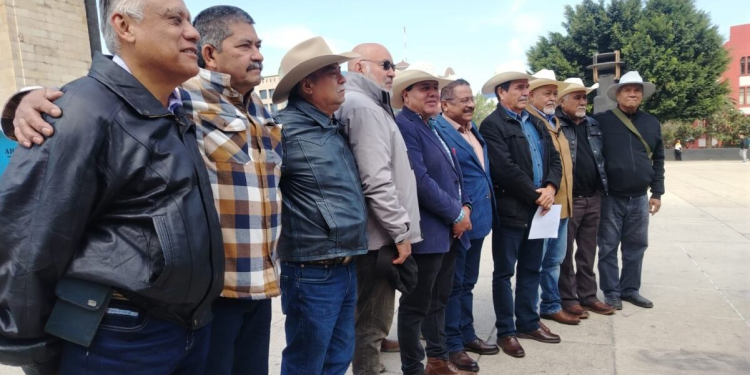 Reforma Electoral Mexicana: PVEM Marca Límites