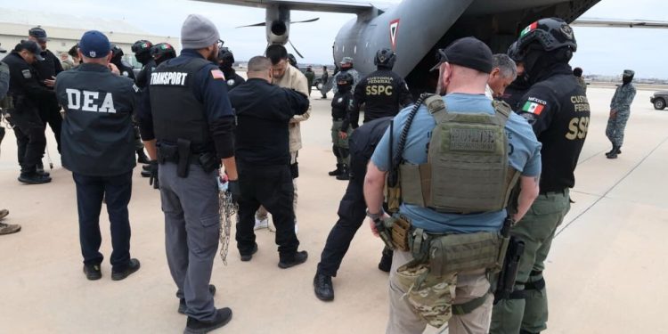 37 presos trasladados a Estados Unidos por delitos de delincuencia organizada
