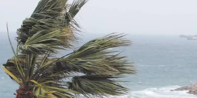 Clima en Cancún: miércoles 4 de febrero con ambiente fresco