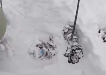 Hombre es rescatado tras quedar enterrado en la nueve de Palisades Tahoe, California
