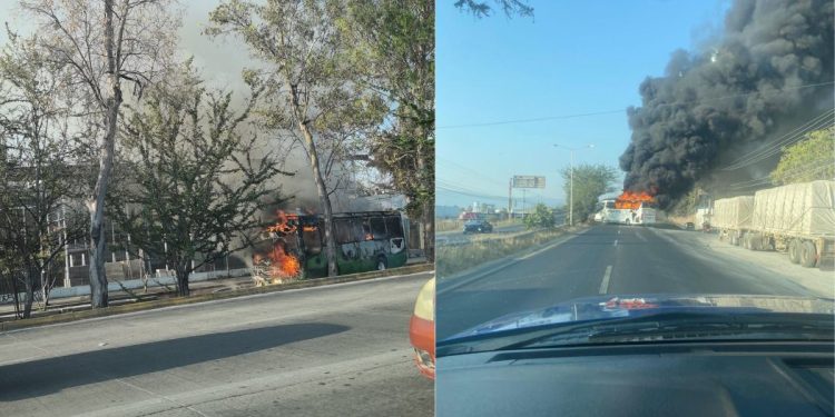 Jalisco bajó FUEGO tras Operativo en Tapalpa