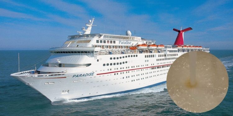 Pasajeros denuncian AGUA CON POP@ en el Crucero Carnival Paradise