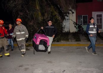 Ayuntamiento de Benito Juárez atiende reporte de maltrato animal en Cancún