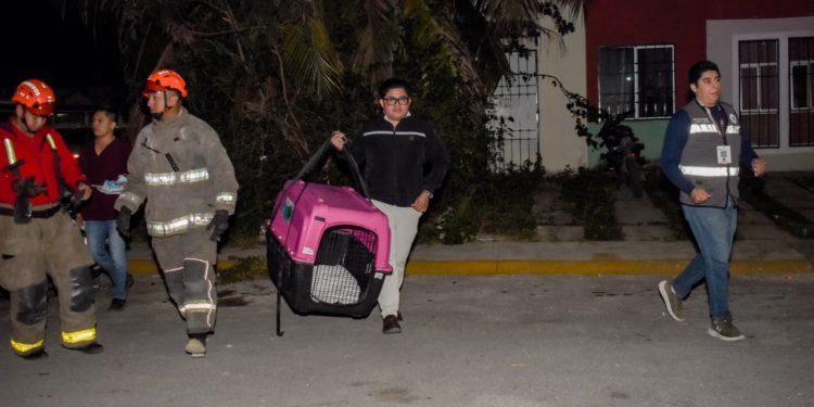 Ayuntamiento de Benito Juárez atiende reporte de maltrato animal en Cancún