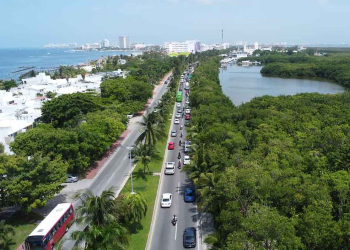 Humedales en Quintana Roo: Tesoros en Peligro